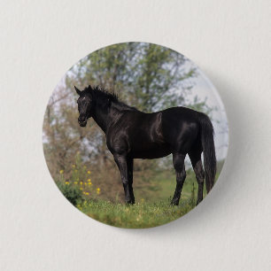 Thoroughbred Horse Standing Ronde Button 5,7 Cm