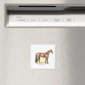 Thoroughbred Magneet (Insitu (Vaatwasser))