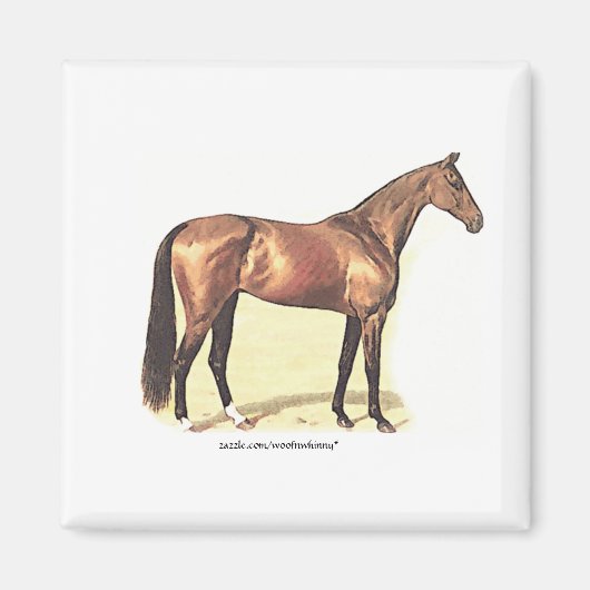 Thoroughbred Magneet (Voorkant)