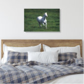 Thoroughbred Mare Canvas Afdruk (Insitu (Slaapkamer))