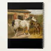 Thoroughbred Mare et Foie Planner (Dos)