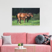 Thoroughbred Mare & Foal 1 Canvas Afdruk (Insitu (Woonkamer))