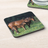 Thoroughbred Mare & Foal 1 Drankjes Onderzetter (Linkerzijde)