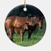Thoroughbred Mare & Foal 1 Keramisch Ornament (Achterkant)