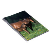 Thoroughbred Mare & Foal 1 Notitieboek (Rechterzijde)