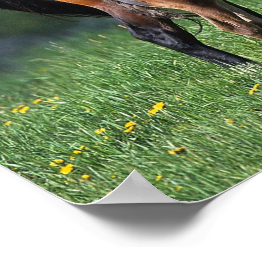 Thoroughbred Mare & Foal 1 Poster (Hoek)