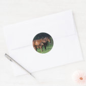 Thoroughbred Mare & Foal 1 Ronde Sticker (Envelop)