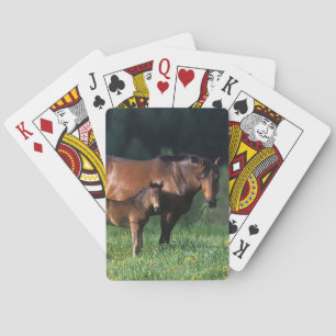 Thoroughbred Mare & Foal 1 Speelkaarten