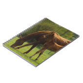 Thoroughbred Mare & Foal 2 Notitieboek (Linkerzijde)