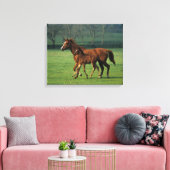 Thoroughbred Mare & Foal 3 Canvas Afdruk (Insitu (Woonkamer))