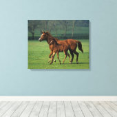 Thoroughbred Mare & Foal 3 Canvas Afdruk (Insitu (Houten vloer))
