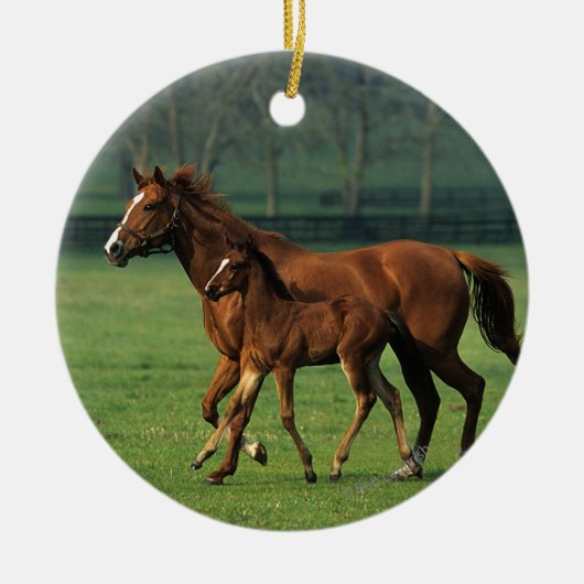 Thoroughbred Mare & Foal 3 Keramisch Ornament (Voorkant)