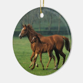 Thoroughbred Mare & Foal 3 Keramisch Ornament (Links)