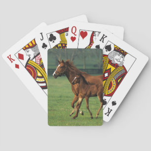 Thoroughbred Mare & Foal 3 Pokerkaarten