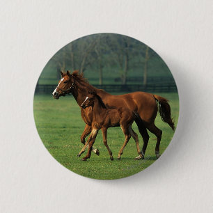 Thoroughbred Mare & Foal 3 Ronde Button 5,7 Cm
