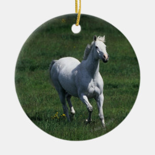 Thoroughbred Mare Keramisch Ornament