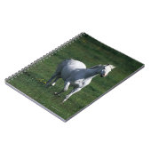 Thoroughbred Mare Notitieboek (Linkerzijde)