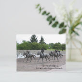 Thoroughbred Park Downtown Lexington, ... Briefkaart (Staand voorkant)