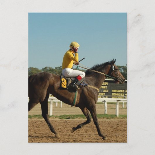 Thoroughbred Race Horse Briefkaart (Voorkant)