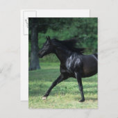 Thoroughbred Running Briefkaart (Voorkant / Achterkant)