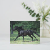 Thoroughbred Running Briefkaart (Staand voorkant)