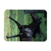 Thoroughbred Running Magneet (Horizontaal)