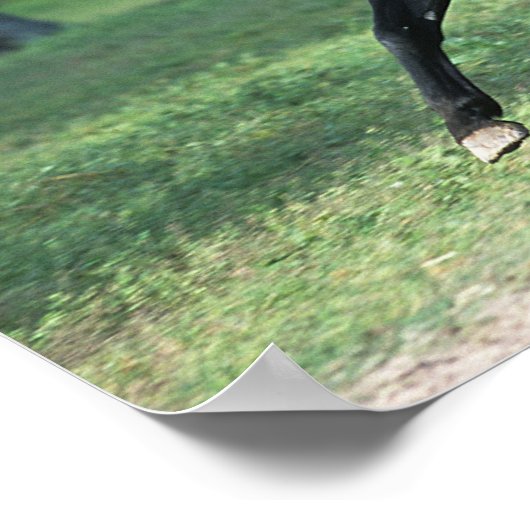 Thoroughbred Running Poster (Hoek)