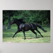 Thoroughbred Running Poster (Voorkant)