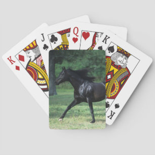 Thoroughbred Running Speelkaarten