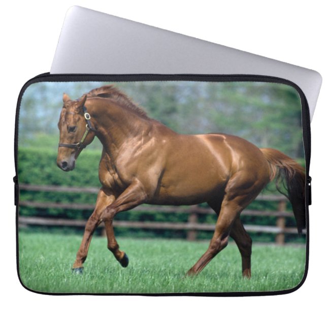 Thoroughbred Stallion, Ierland Laptop Sleeve (Voorkant)