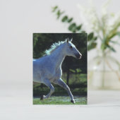 Thoroughbred Stallion Running Briefkaart (Staand voorkant)