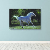 Thoroughbred Stallion Running Canvas Afdruk (Insitu (Houten vloer))