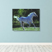 Thoroughbred Stallion Running Canvas Afdruk (Insitu (Houten vloer))