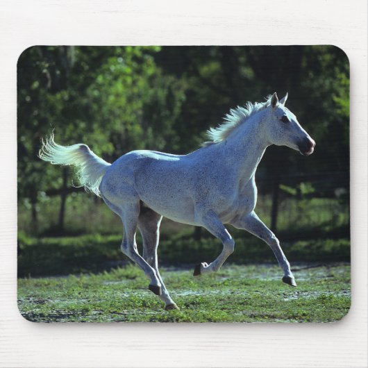 Thoroughbred Stallion Running Muismat (Voorkant)