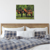 Thoroughbred Yearlings Canvas Afdruk (Insitu (Slaapkamer))