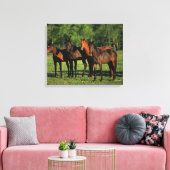 Thoroughbred Yearlings Canvas Afdruk (Insitu (Woonkamer))