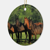 Thoroughbred Yearlings Keramisch Ornament (Links)