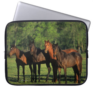 Thoroughbred Yearlings Laptop Sleeve