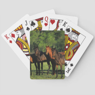 Thoroughbred Yearlings Pokerkaarten