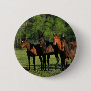Thoroughbred Yearlings Ronde Button 5,7 Cm