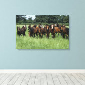 Thoroughbred Youngsters Canvas Afdruk (Insitu (Houten vloer))