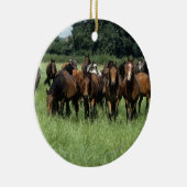 Thoroughbred Youngsters Keramisch Ornament (Rechts)