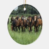 Thoroughbred Youngsters Keramisch Ornament (Links)