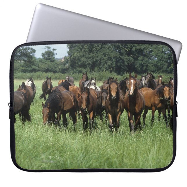Thoroughbred Youngsters Laptop Sleeve (Voorkant)