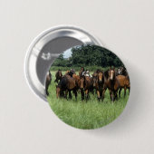 Thoroughbred Youngsters Ronde Button 5,7 Cm (Voorkant /achterkant)