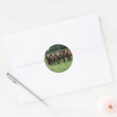 Thoroughbred Youngsters Ronde Sticker (Envelop)