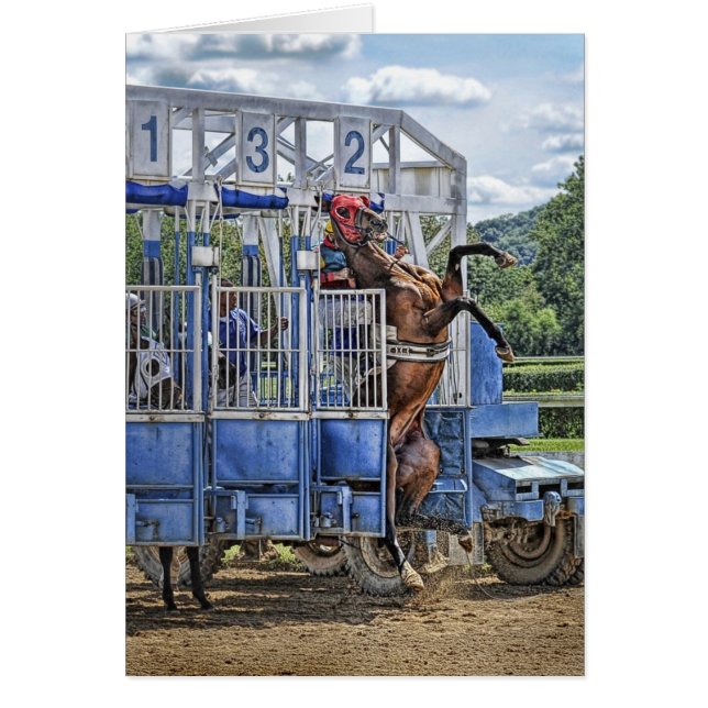 Thoroughbreds Risky (Voorkant)