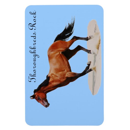 Thoroughbreds Rock Premium Magnet (Vertical)