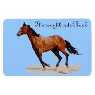Thoroughbreds Rock Premium Magnet Magneet