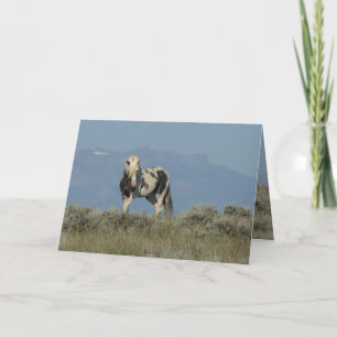 Thor's Challenge Wild Horse Wenskaart Bedankkaart